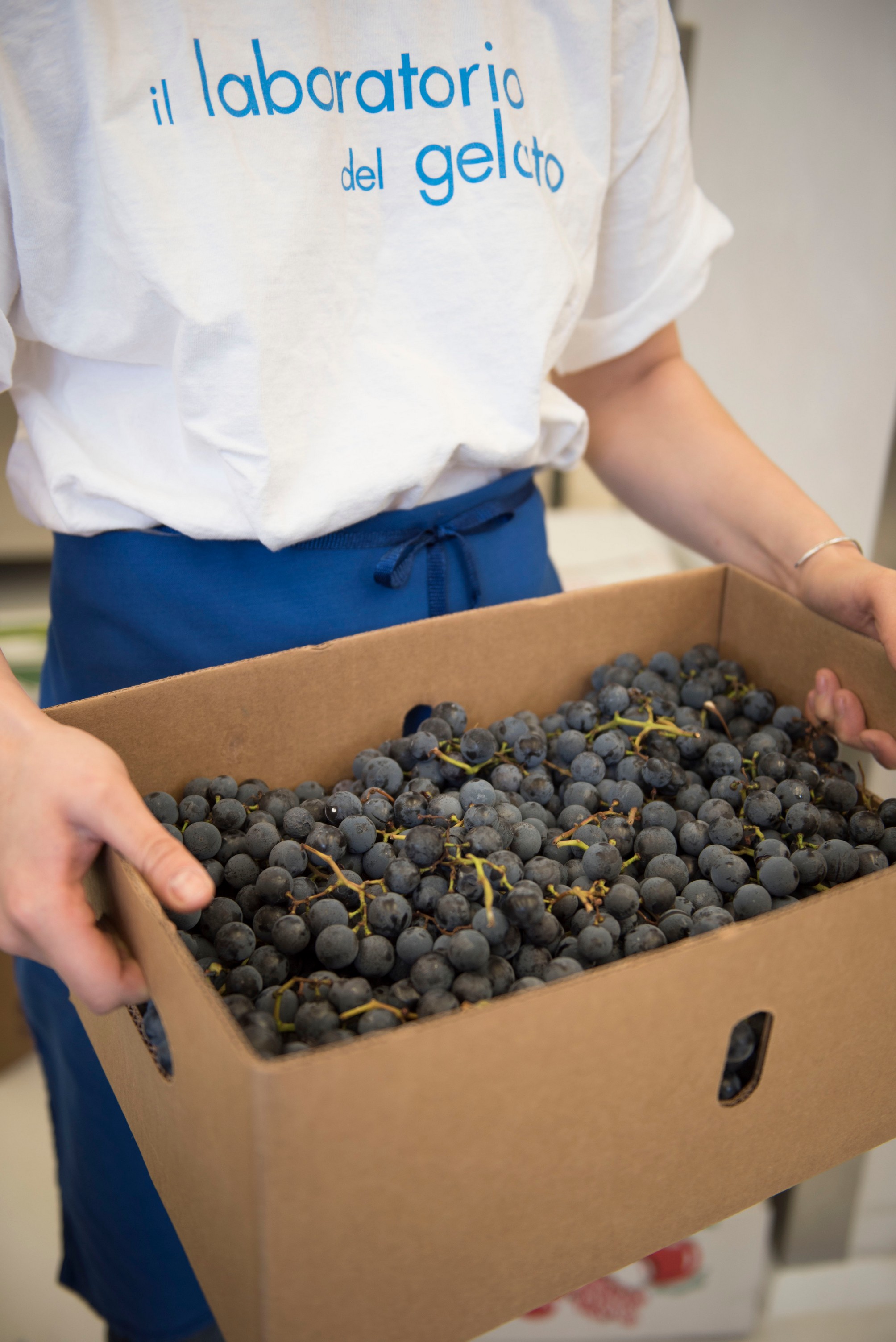 Premium ingredients for gelato